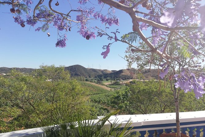 Albufeira Wine Tasting: Boutique Winery Tour & Historic Silves - Silves Walking Time: Moorish Capital, Cobblestones, and Castle Views