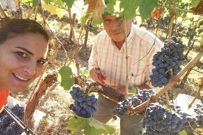 Albufeira Wine Tour: 2 Vineyards, 6 Tastings & Historic Silves - Key highlights if you love wine and old towns