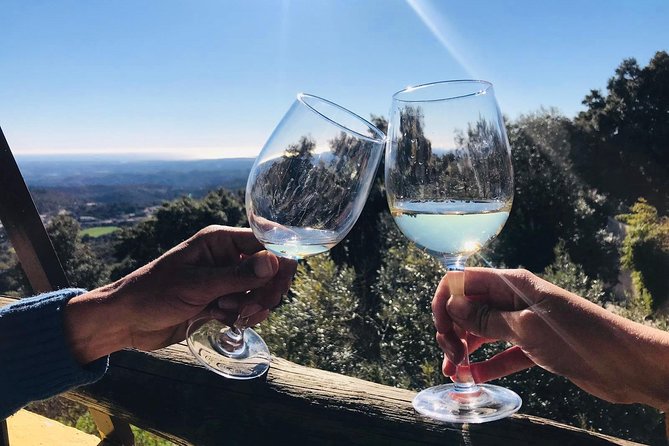 Albufeira Wine Tour: 2 Vineyards, 6 Tastings & Historic Silves - What the 6 tastings and snacks add up to (and why it matters)
