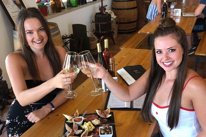 Albufeira Wine Tour: 2 Vineyards, 6 Tastings & Historic Silves - Who this tour is perfect for