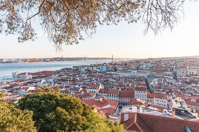 Alfama Private Tuk Tuk Tour: Lisbon’s Oldest Neighborhood (2 HRS) - Price and value: what you are really paying for