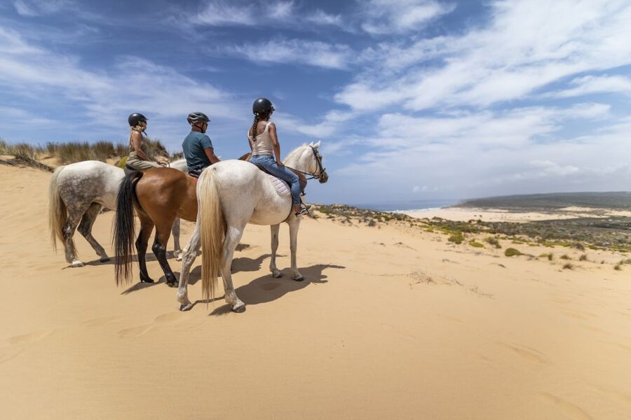 Algarve: 1-Hour Carrapateira Horseback Riding Tour - Quick hits before you go