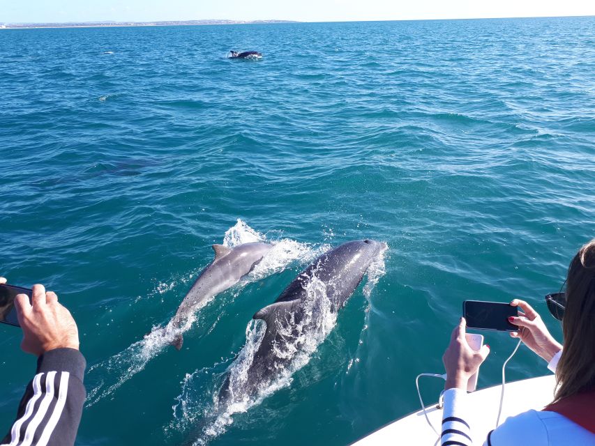 Algarve: Boat Trip to the Caves of Benagil - Why Benagil Caves Feel Different From the Water