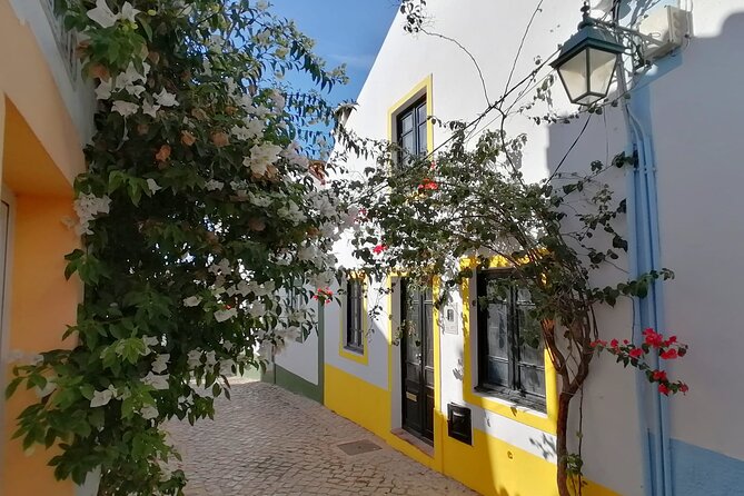 Algarve Coast Full-Day Private Tour - Stop 4: Lagos, from Ponta da Piedade to old-town storytelling