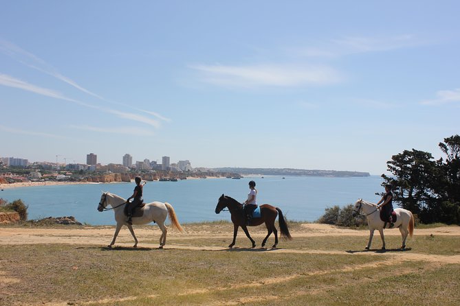 Algarve - Exclusive horseriding in Portimao (no experience required) - Key Things That Make This Ride Worth Your Hour