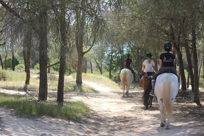 Algarve - Exclusive horseriding in Portimao (no experience required) - Getting On Your Horse: What the Briefing Really Does