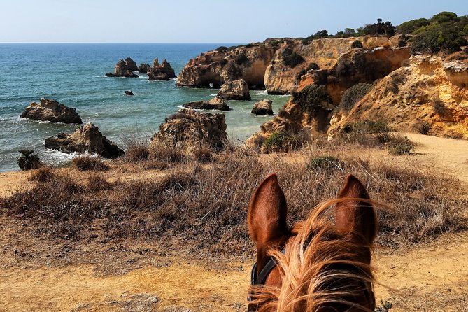 Algarve - Exclusive horseriding in Portimao (no experience required) - Meet the Guides and Their Rescue-Horse Ethic