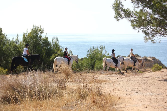 Algarve - Exclusive horseriding in Portimao (no experience required) - Price and Value for $60.49: What You’re Actually Paying For