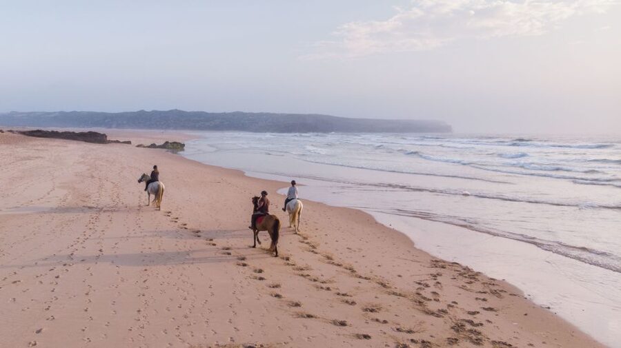 Algarve: Horse Riding Beach Tour at Sunset or Morning - Entering Carrapateira, Then the Pine Forest Trail
