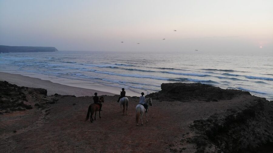Algarve: Horse Riding Beach Tour at Sunset or Morning - Sunset or Morning, How the Two Hours Unfold