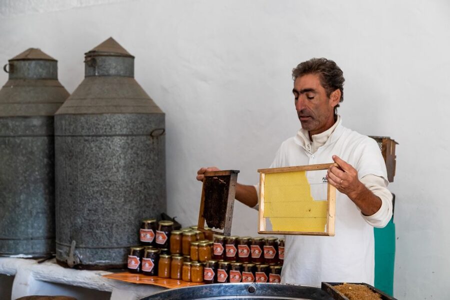 Algarve: Jeep Safari with Distillery Visit & Lunch - Price and value: what $84 buys you for 7.5 hours