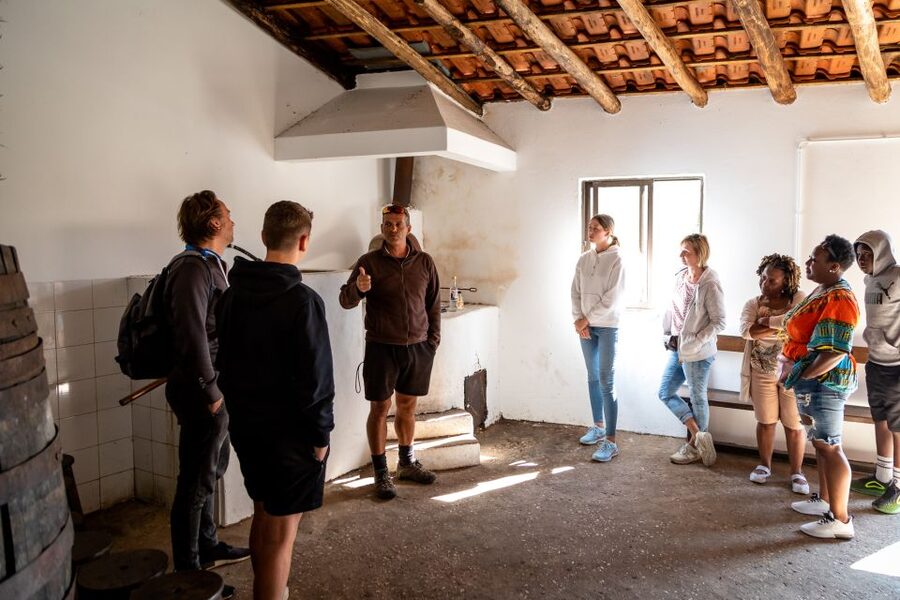 Algarve: Jeep Safari with Distillery Visit & Lunch - Distillery time: tasting potent medronho and seeing honey made