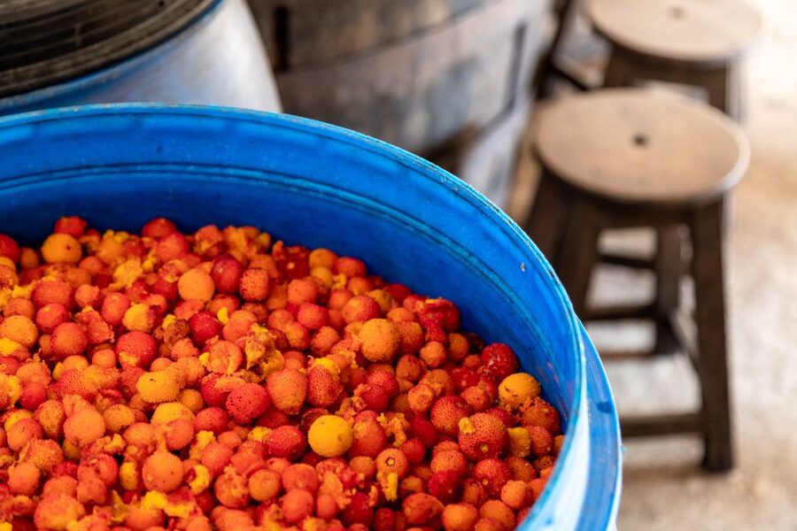 Algarve: Jeep Safari with Distillery Visit & Lunch - Guides make or break the day, and this tour has strong ones