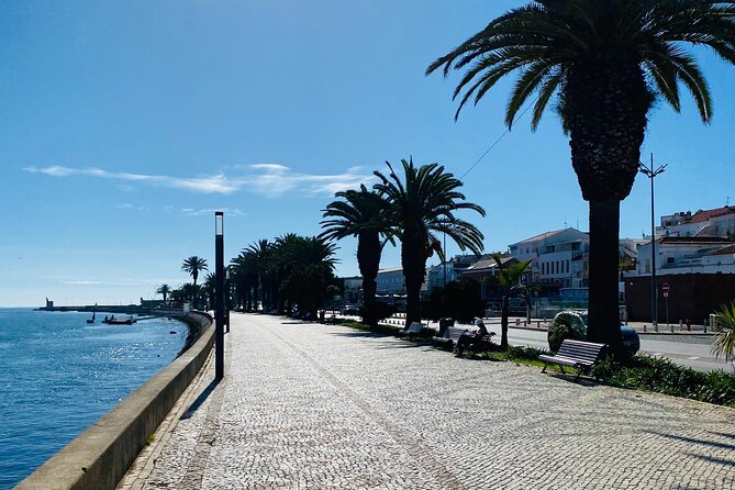 Algarve: Lagos Sightseeing guided Tour with e-bikes - Key highlights worth timing your day for