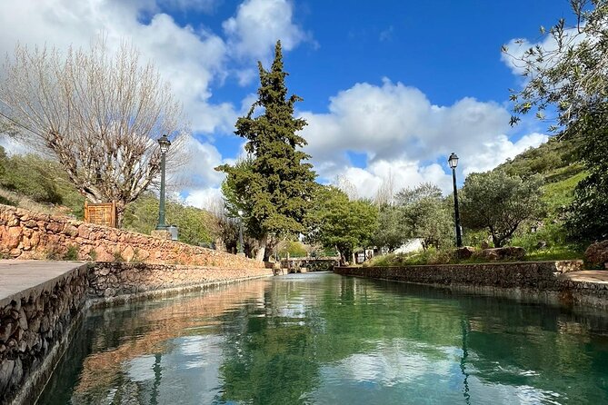 Algarve Safari - Half Day from Albufeira - Queda do Vigário: viewpoint time that depends on weather