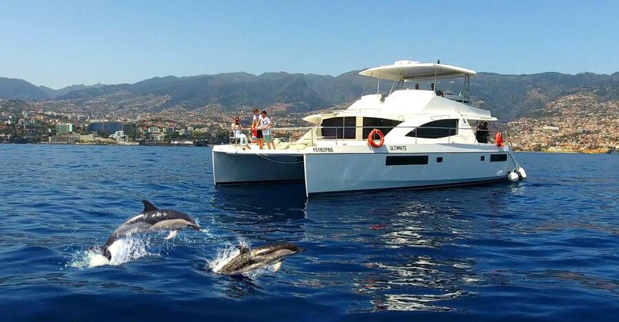 All Inclusive Whale and Dolphin Watching Luxury Tour - Meeting at Funchal and stepping onto a smooth ride