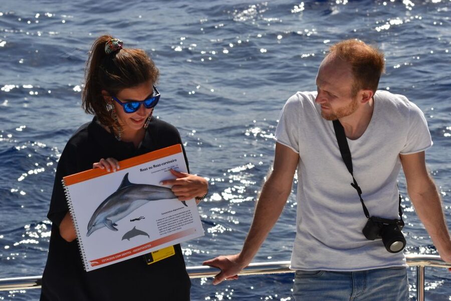 All Inclusive Whale and Dolphin Watching Luxury Tour - Who this tour is best for