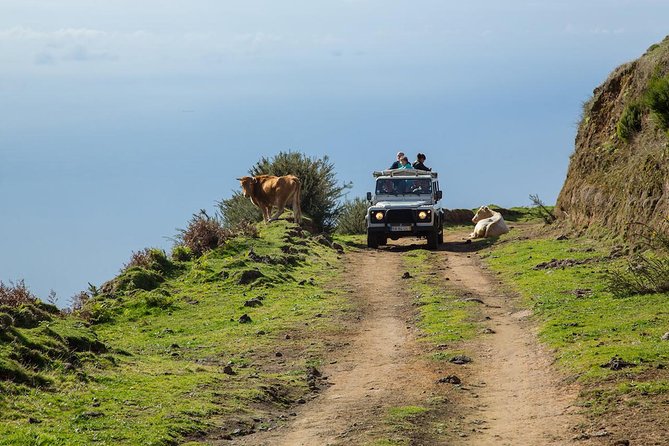 Amazing West - Jeep Safari Tour - Full Day - Shared Tour - Key things to know before you go