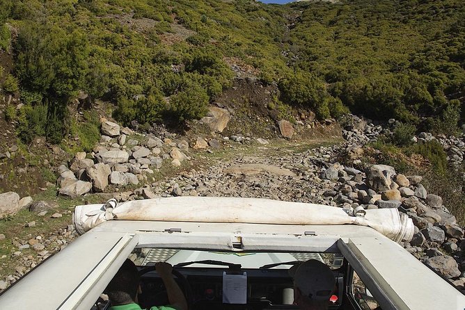 Amazing West - Jeep Safari Tour - Full Day - Shared Tour - Price value: what $78.61 covers and what to budget for