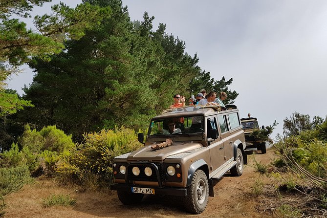 Arieiro Peak, Santo Serra, Cristo Rei in Open Roof 4x4 Experience - Pickup in Funchal: easy start, clear timing, and what to watch for