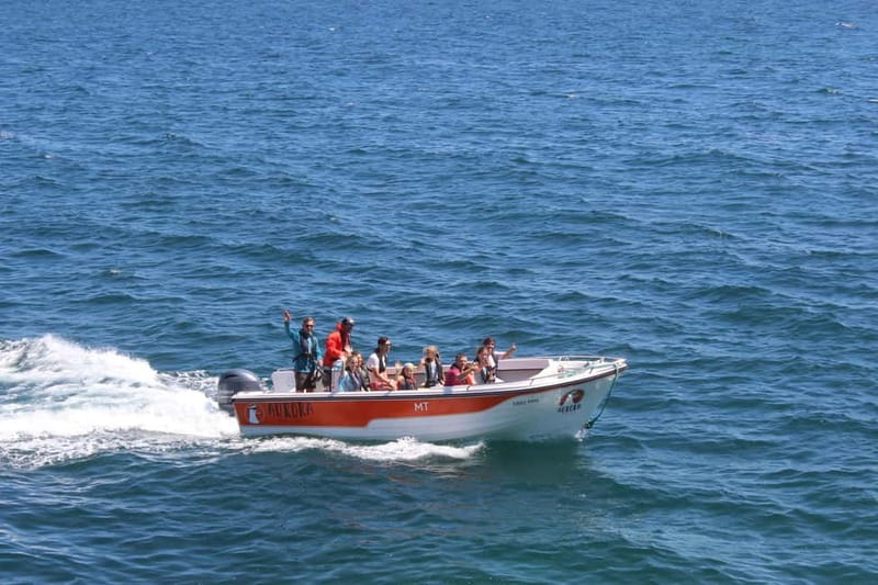 Armação de Pêra: Benagil and 10 Best Caves Guided Boat Tour - Should You Book the Benagil and 10 Caves Boat Tour?