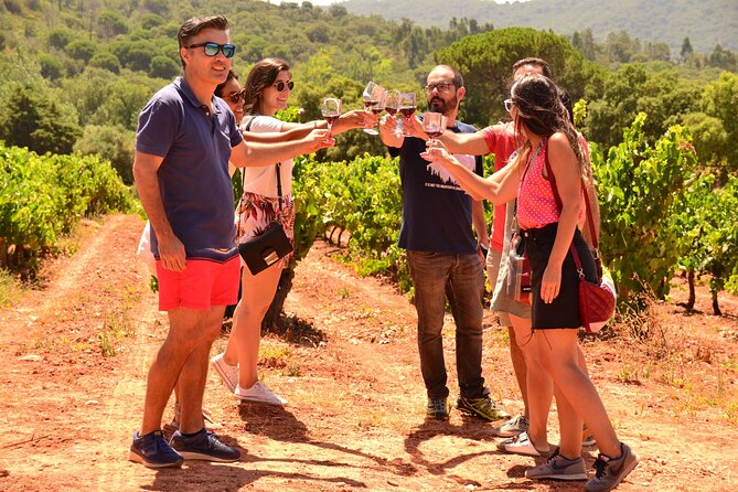 Arrabida and Sesimbra Small-Group Day Trip from Lisbon with Wine Tasting - Arrábida Natural Park: viewpoints with real coastline payoff