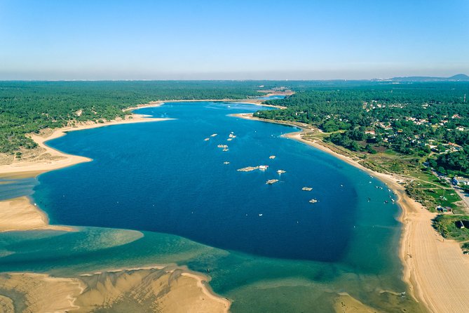 Arrabida Wine Tour from Lisbon: Wineries, Tastings & Tile Factory - Key highlights worth marking on your calendar
