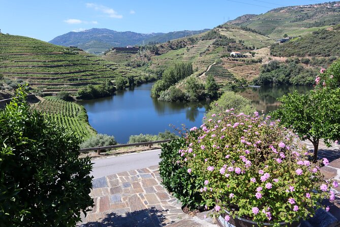 Authentic Small Group Douro Wine Tour with Lunch & River Cruise - Quinta do Tedo: the first tasting, then the wine story