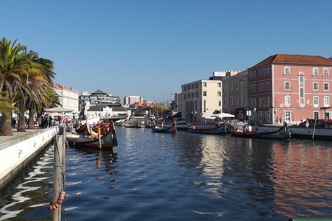 Aveiro and Coimbra Small Group Tour with Moliceiro Boat Cruise - Lunch time in Aveiro: go local, keep moving