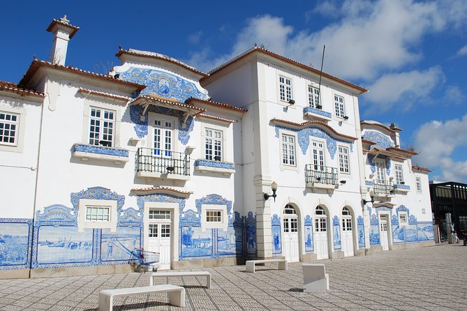 Aveiro and Costa Nova Half Day Tour from Porto with Boat Ride - Porto to the coast by mini-bus: comfort vs. time on the road
