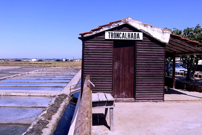 Aveiro and Costa Nova Half Day Tour from Porto with Boat Ride - Price and value: is $55.63 a smart use of time?