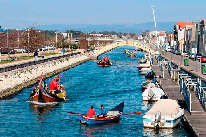 Aveiro Canal Cruise in Traditional Moliceiro Boat - Moliceiro canal cruise in 45 minutes: what you actually get