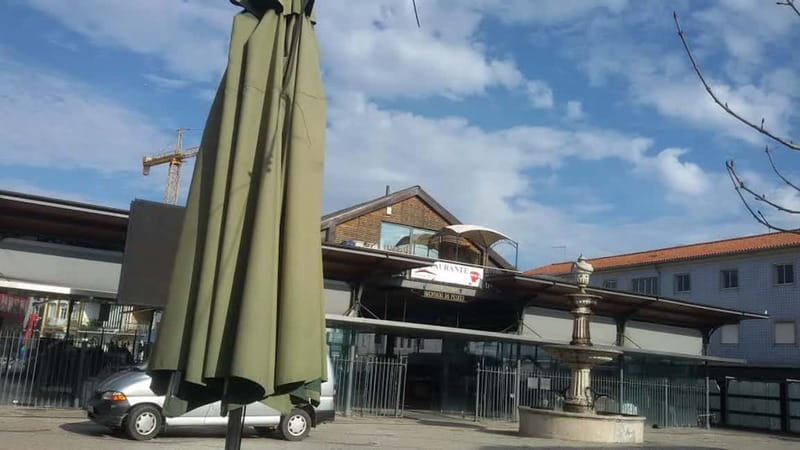 Aveiro & Coimbra Small Group Tour with Moliceiro Boat Cruise - Key moments worth planning for