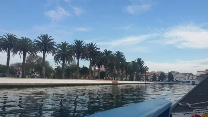 Aveiro & Coimbra Small Group Tour with Moliceiro Boat Cruise - The moliceiro boat cruise: the calm part of the day that makes Aveiro stick