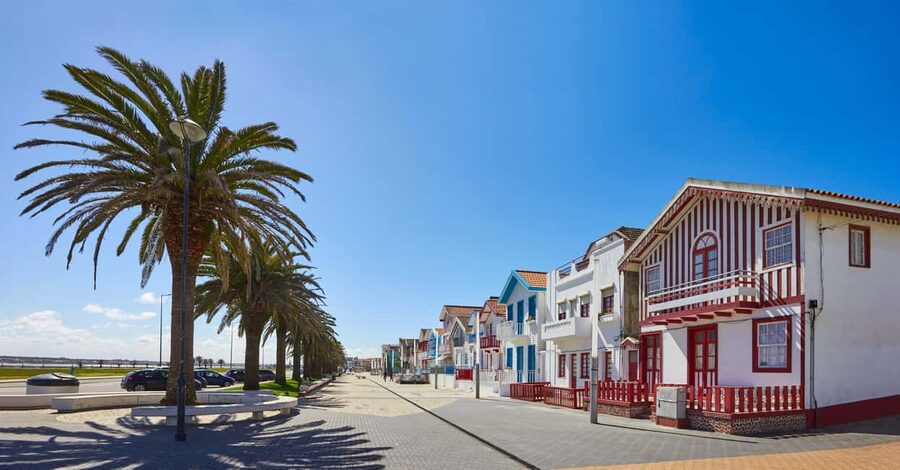 Aveiro: Half-Day Tour from Porto with Optional Cruise - The optional Moliceiro canal cruise: what it adds and what to expect