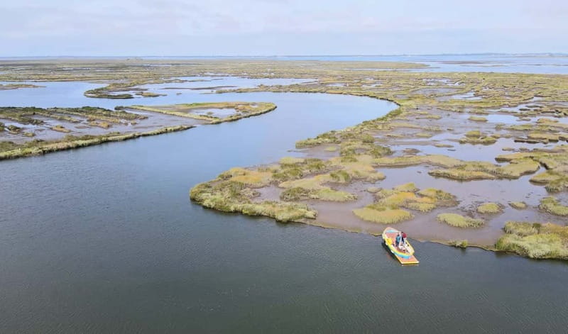 Aveiro: Ria Highlights Boat Tour - Key Highlights You’ll Actually Feel