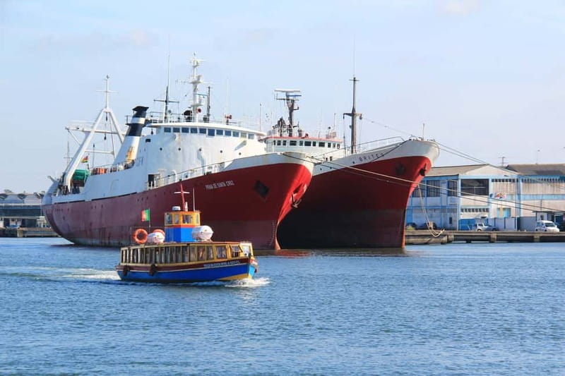 Aveiro: Ria Highlights Boat Tour - Ria de Aveiro by Boat, What Makes This Lagoon Worth Your Time