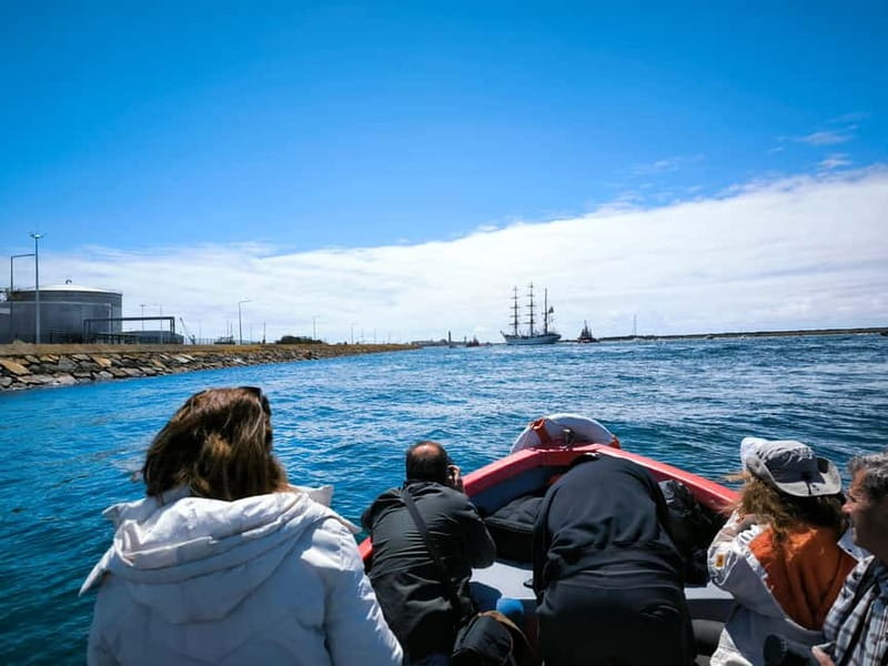 Aveiro: Ria Highlights Boat Tour - Fishing Villages, Moliceiro Boats, and the Human Side of the Ria