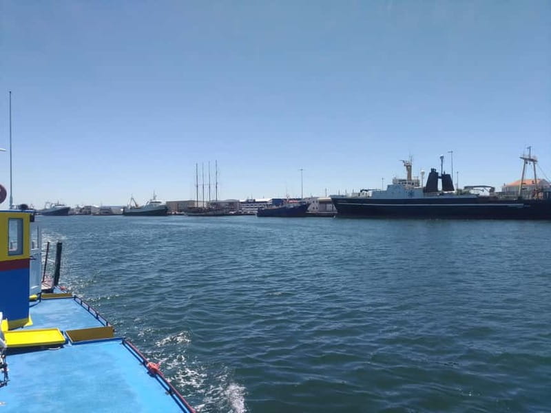 Aveiro: Ria Highlights Boat Tour - What’s Included Onboard (And Why It Matters in Real Life)