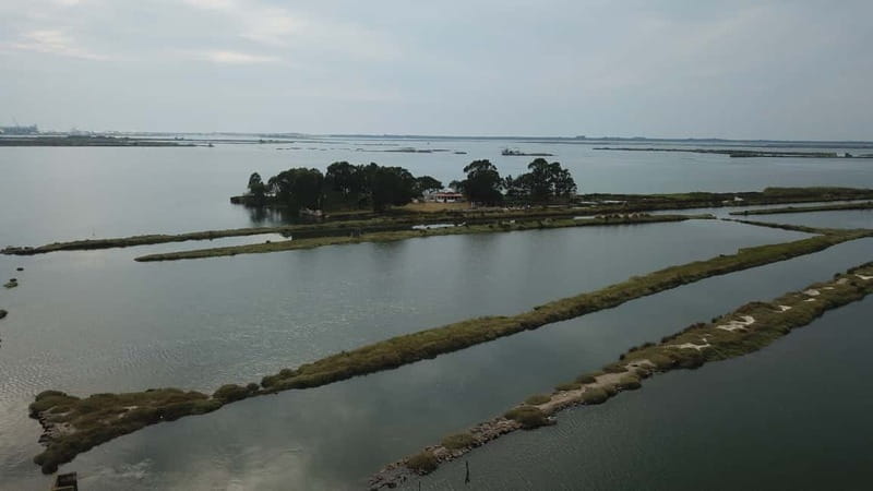 Aveiro: Ria Highlights Boat Tour - Value for About $35, and When It Beats the Big Canal Rides
