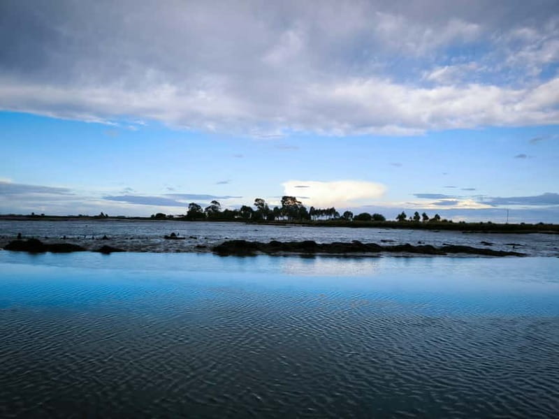 Aveiro: Ria Highlights Boat Tour - Who This Tour Suits Best (And Who Should Rethink It)