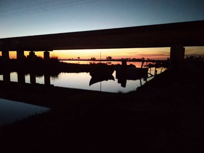 Aveiro: Walking Tour, Boat Cruise, Sweets & Church Entrance - Key Highlights You’ll Feel Immediately