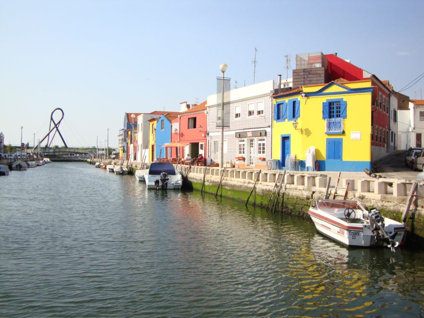 Aveiro: Walking Tour, Boat Cruise, Sweets & Church Entrance - Moliceiro Boat Cruise: The View You Came For