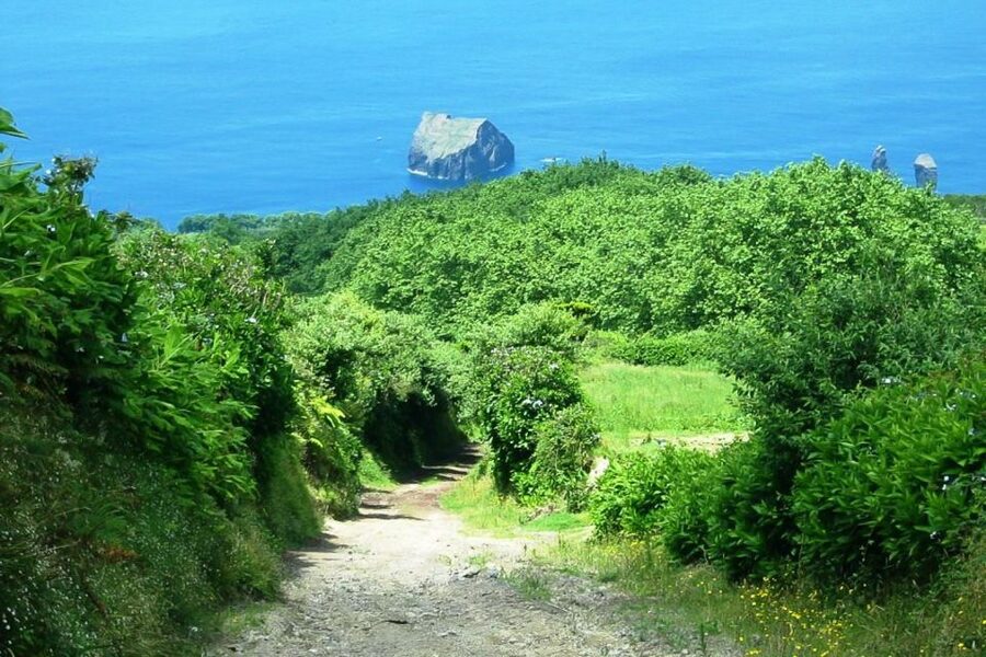 Azores: Sete Cidades Scenic Jeep Tour from Ponta Delgada - Price and value: does $58 make sense here?