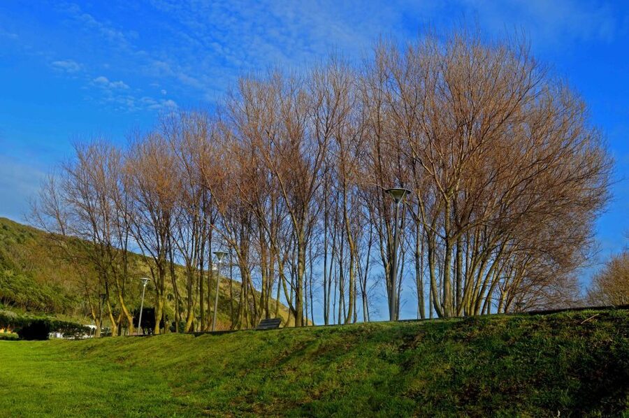 Azores: Terceira Island Full-Day Tour - Algar do Carvão closed, what you get instead at Gruta do Natal