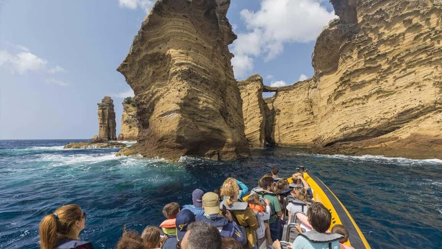 Azores: Whale Watching & Islet Boat Tour w/ Marine Biologist - Key highlights that make this tour tick