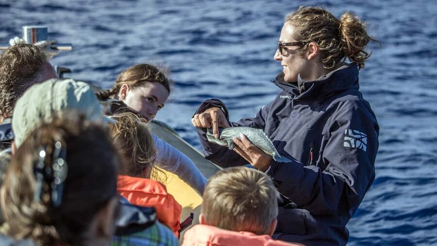 Azores: Whale Watching & Islet Boat Tour w/ Marine Biologist - Safety-first whale hunting with a guide who stays with you