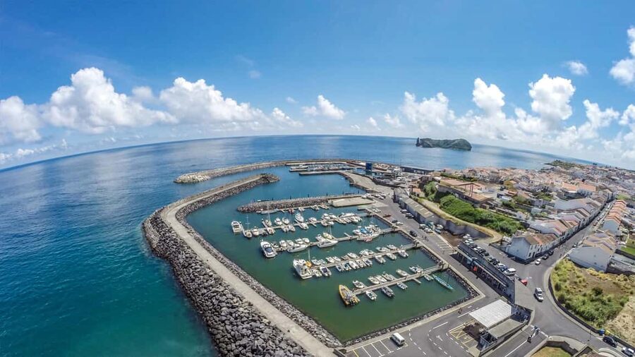 Azores: Whale Watching & Islet Boat Tour w/ Marine Biologist - What whales and dolphins you might spot, and what to expect
