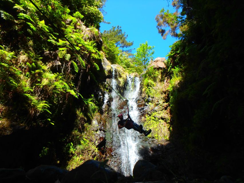 Beginner Canyoning Madeira - The Big Attractions, Waterfalls, Pools, and That Rappel Moment