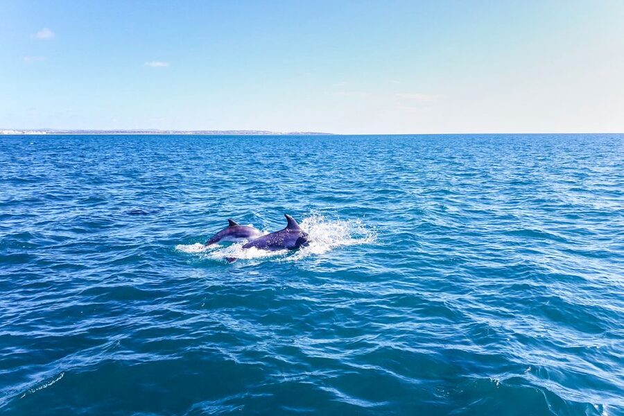 Benagil: Benagil Caves and Secret Spots Guided Kayaking Tour - Praia da Marinha: open-water beauty plus a beach break you earned